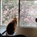 avatar BigBellyFelix