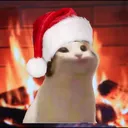 popcat1736