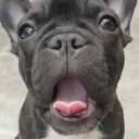souhhy