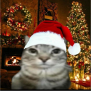 avatar 404SofijaNotFound