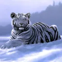 amirushka