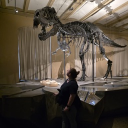 avatar Toxin ᴳᴱᴿ | ᴱᴺᴳ