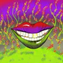 trippymoonfly