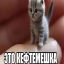 Аватар iozh1k.