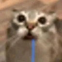1justkelya