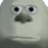 vxldezzz2663 avatar