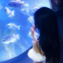 avatar ✧ 𝒸𝒽𝒾𝓈𝒶𝓀𝒾 ✧