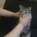 avatar ✎𝐣𝐮𝐥𝐞𝐬