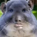 5ddie_