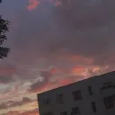 dyvonis