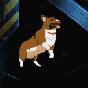 Discord Avatar