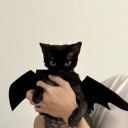 avatar liv☆*.:｡✿ *。