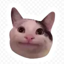 ery_argo