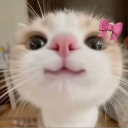 avatar 𝕮𝖎𝖓𝖉𝖊𝖗𝖊𝖑𝖑𝖆