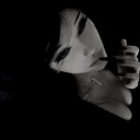 avatar boss kitty vloro