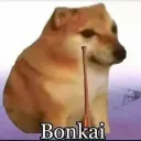 bonkay_doge avatar