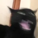 thefeetsniffer
