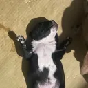 tofuuu_24