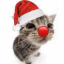 avatar GeneralGalaxy