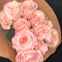 avatar Ashantisorayaa