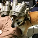 gooddoge5121