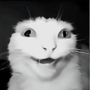 avatar 𝕬𝖓𝖊𝖙𝖆