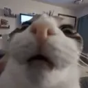 f5st_h3per