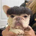 djlivv