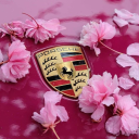 avatar Lena | Lenscaa