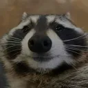 kitskindofhere