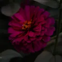 elbruhchador