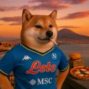 flaviodg