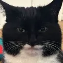 notmatt_1970