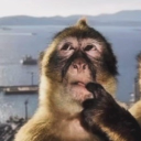 avatar Ervil LeBaron