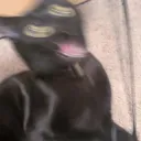 slvstrchung