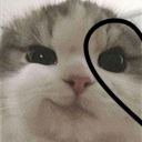 penguin_boog's Avatar