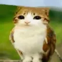 earny_ avatar