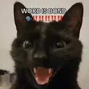 .pah