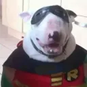 feconi7 avatar