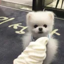 mochiji.