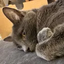 unkkit