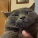 unkkit