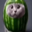 melonz525