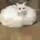 juanhoppedtheborder