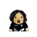 victorhm4 avatar