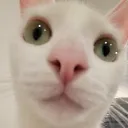 ma3is