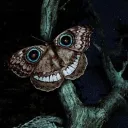 mothstalker