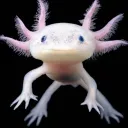 _awesomeaxolotl