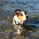 the_realbaxter
