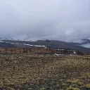 novorrosik